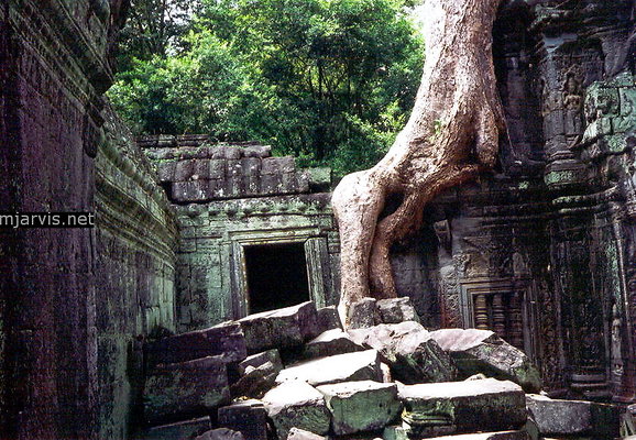 angkor ruins